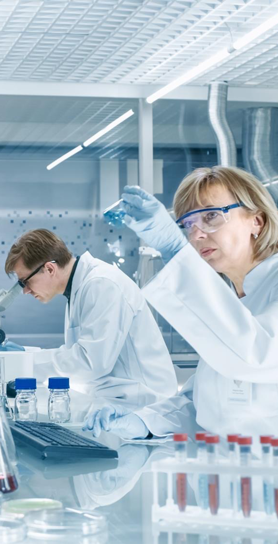 Medical experts reviewing Vapofil formula